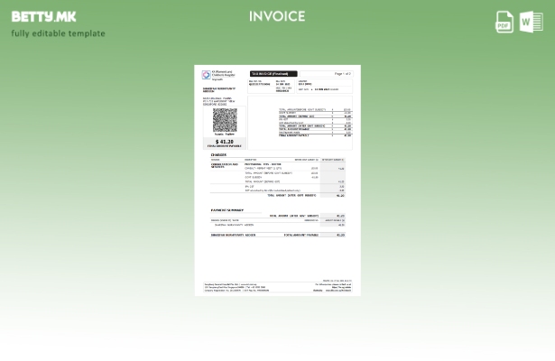 Модерен стил Шаблон за болничка даночна фактура во Сингапур КК